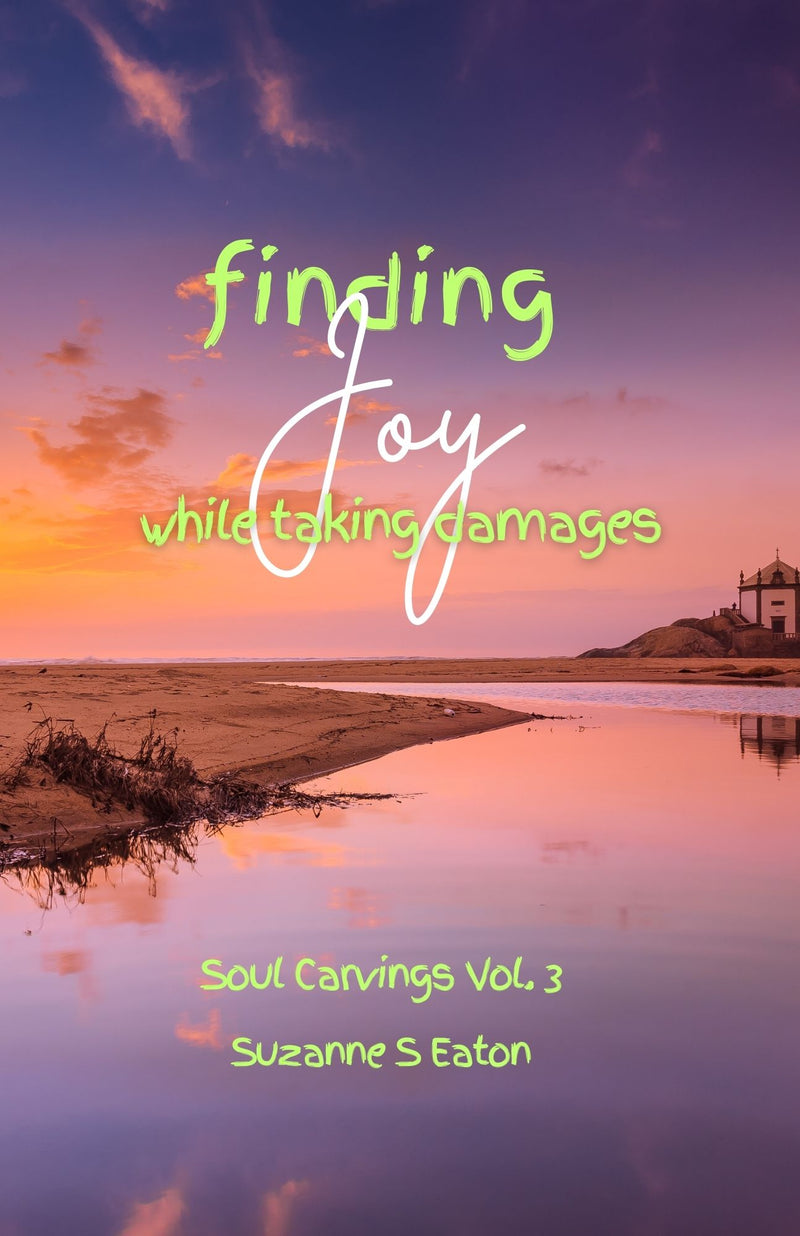 Soul Carvings Vol. 3: Finding Joy While Taking Damages book cover by Suzanne S. Eaton